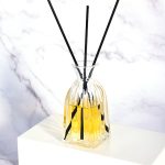 Flixkun tad-Diffużur tad-Disinn Uniku tal-Ħġieġ Dekorattiv tal-Ippakkjar tad-Diffużur tal-Aroma Bottle100ml | Ħġieġ Honghua