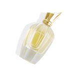 Muundo Mpya 30ml 50ml 100ml Pump Perfume Chupa ya Kunyunyizia Yenye Kifuniko cha Mdomo wa Dhahabu | Kioo cha Honghua